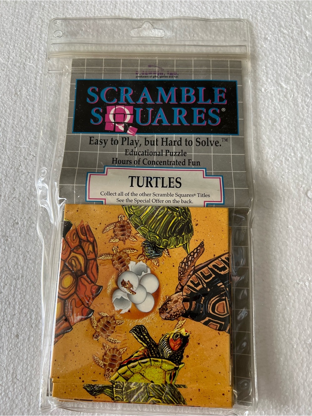 Scramble Squares Puzzle Turtles Educational